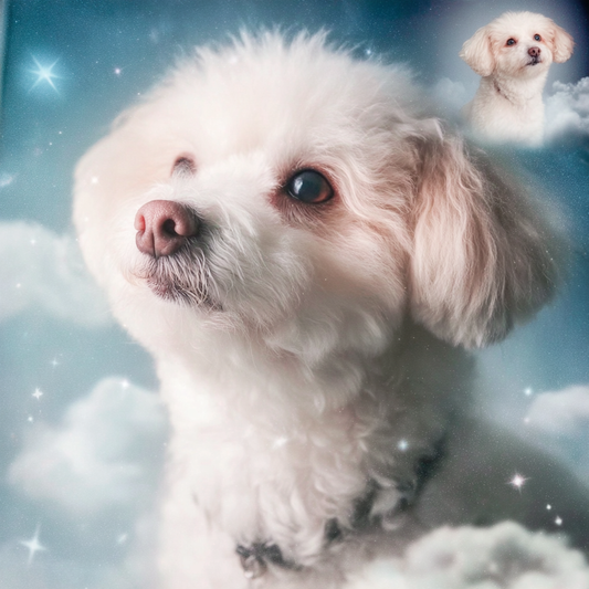 Custom Pet Portrait